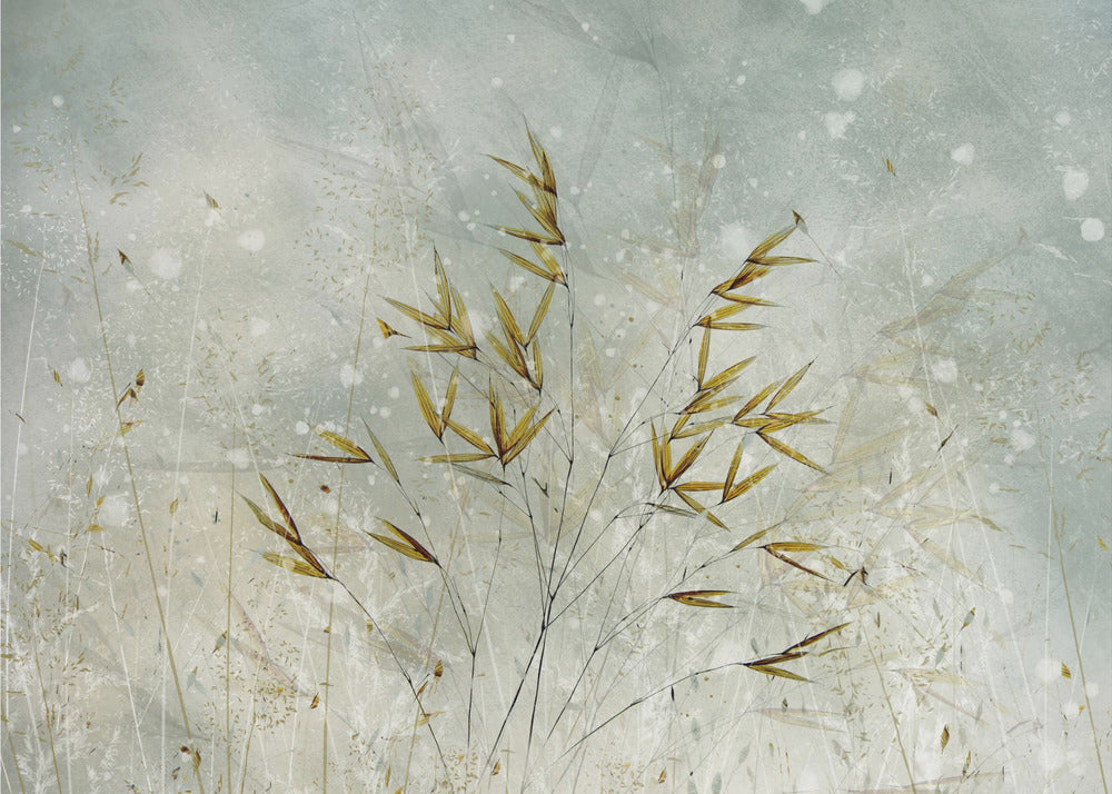 Wintertime | Canvas