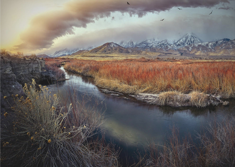 Owens River bij zonsopgang | Poster