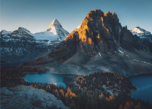 Ochtendzonlicht | Canvas