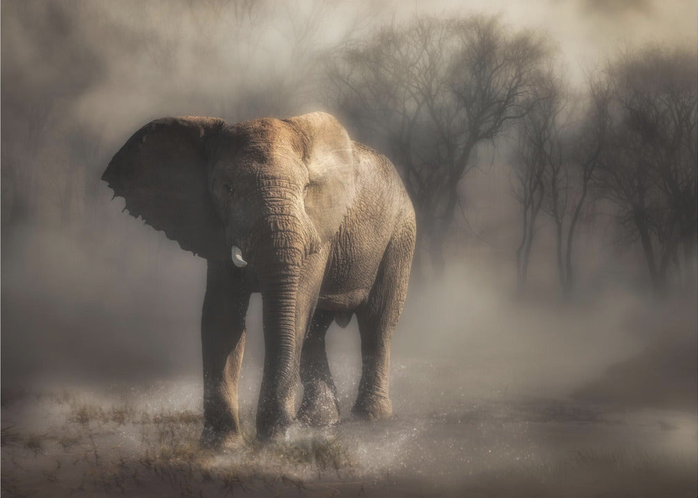 "...olifant drinkt water..." | Behang