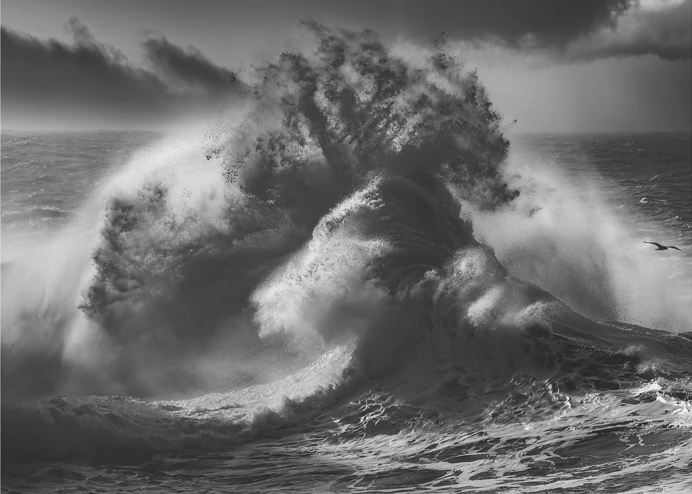 POSEIDON MAJESTEIT (Deel 4) | Achtergrond
