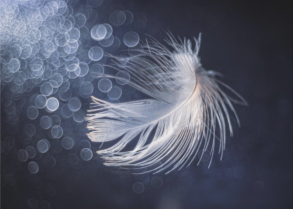 Placidity | Wallpaper