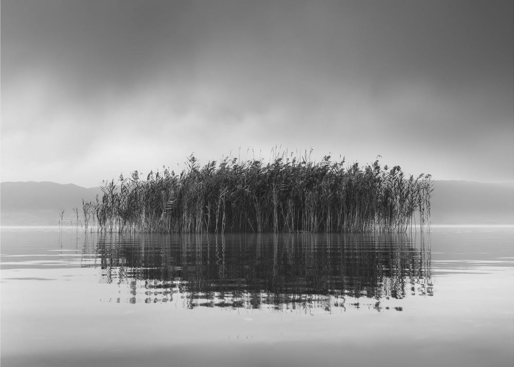 Meer Volvi VII | Achtergrond