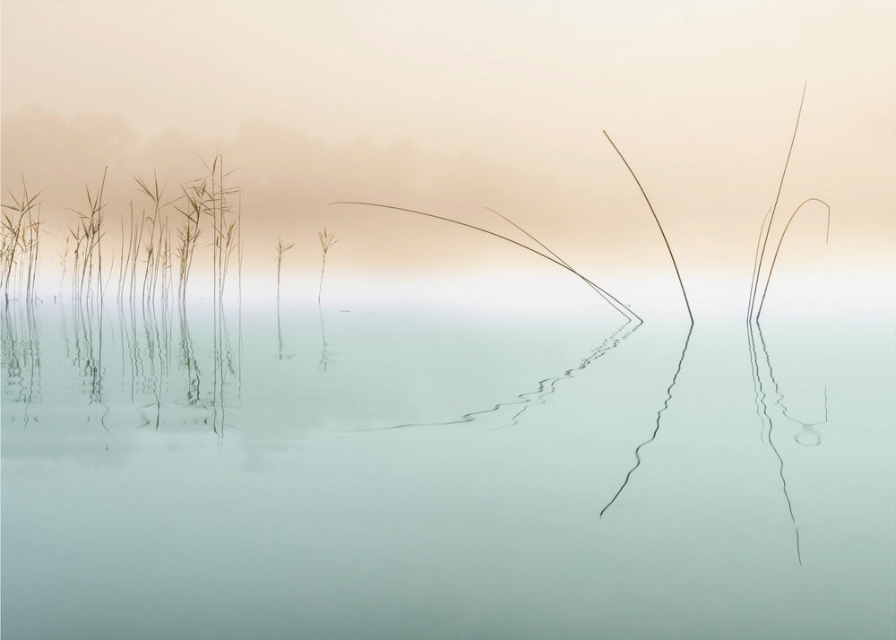 Silence | Canvas
