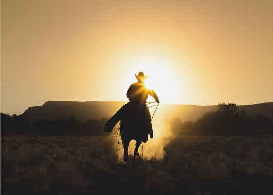 De Cowboy | Canvas