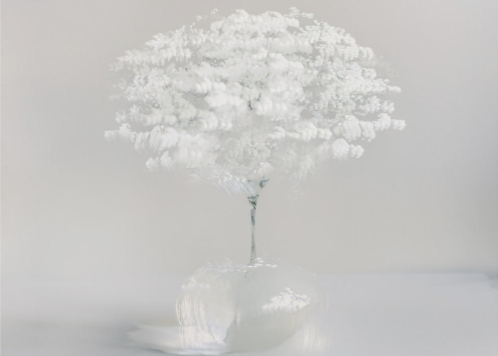 Innocent white | Poster