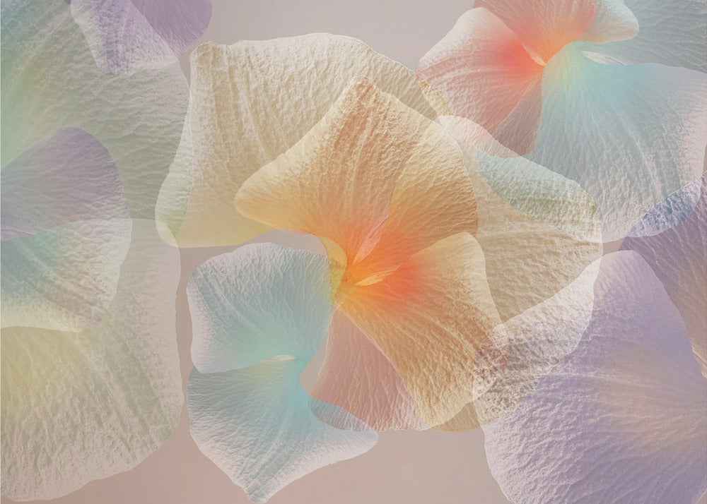 Pastel bloemen | Canvas