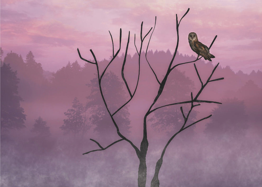 Roze lucht in de ochtend | Achtergrond