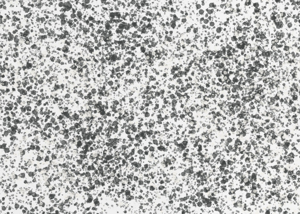 Monochrome spikkels | Behang