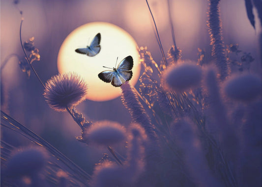 Geloof dat je kunt vliegen | Canvas