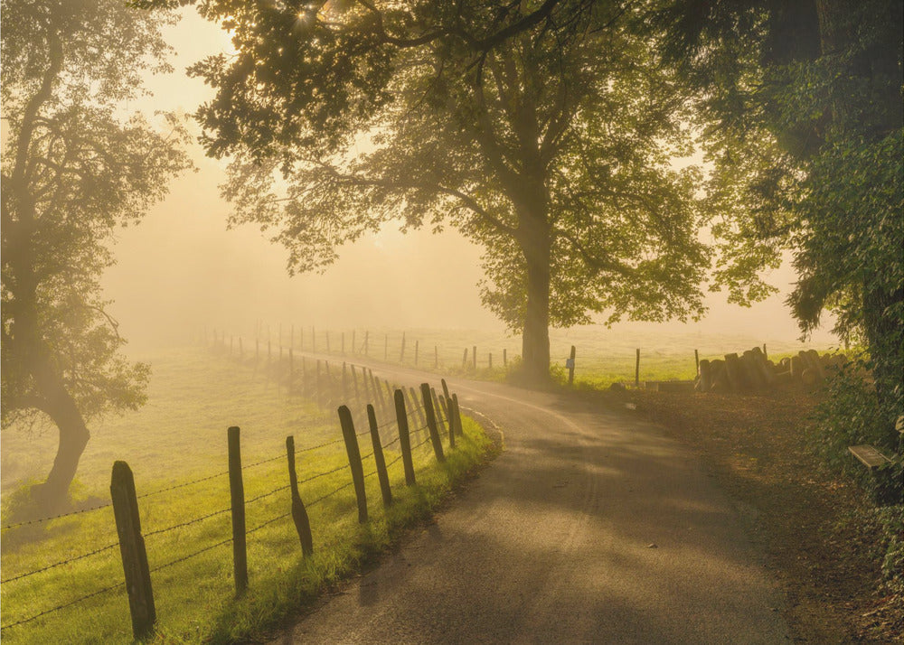Ochtendwandeling | Achtergrond