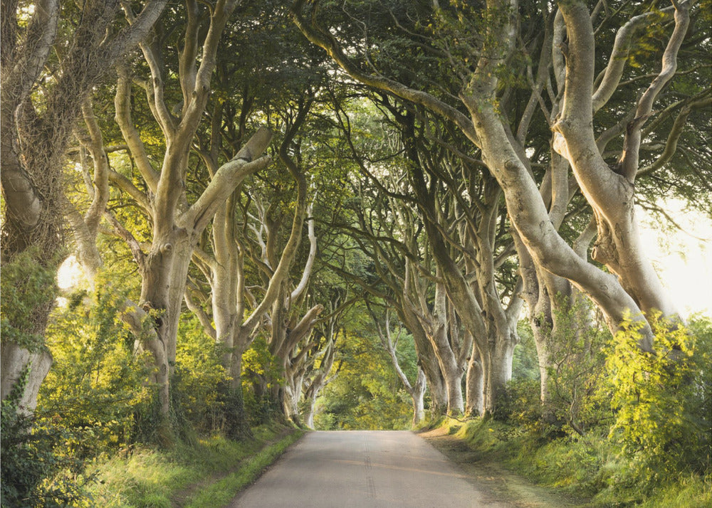Golden Alley | Canvas