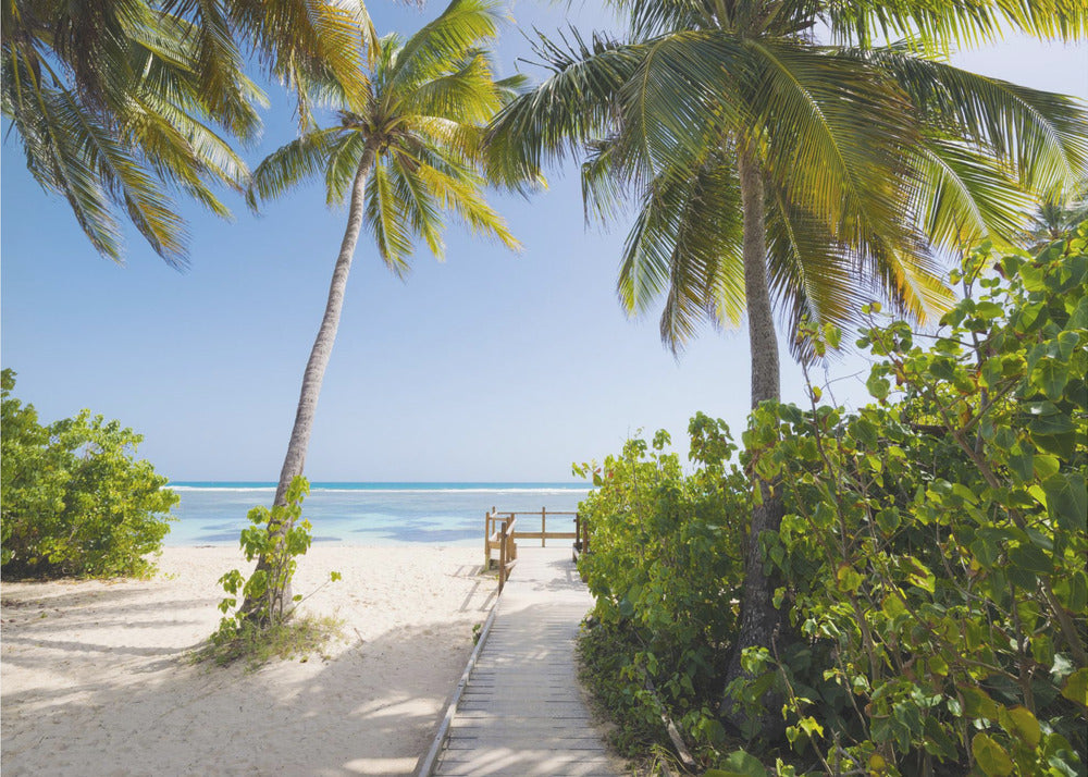 Naar het strand | Poster