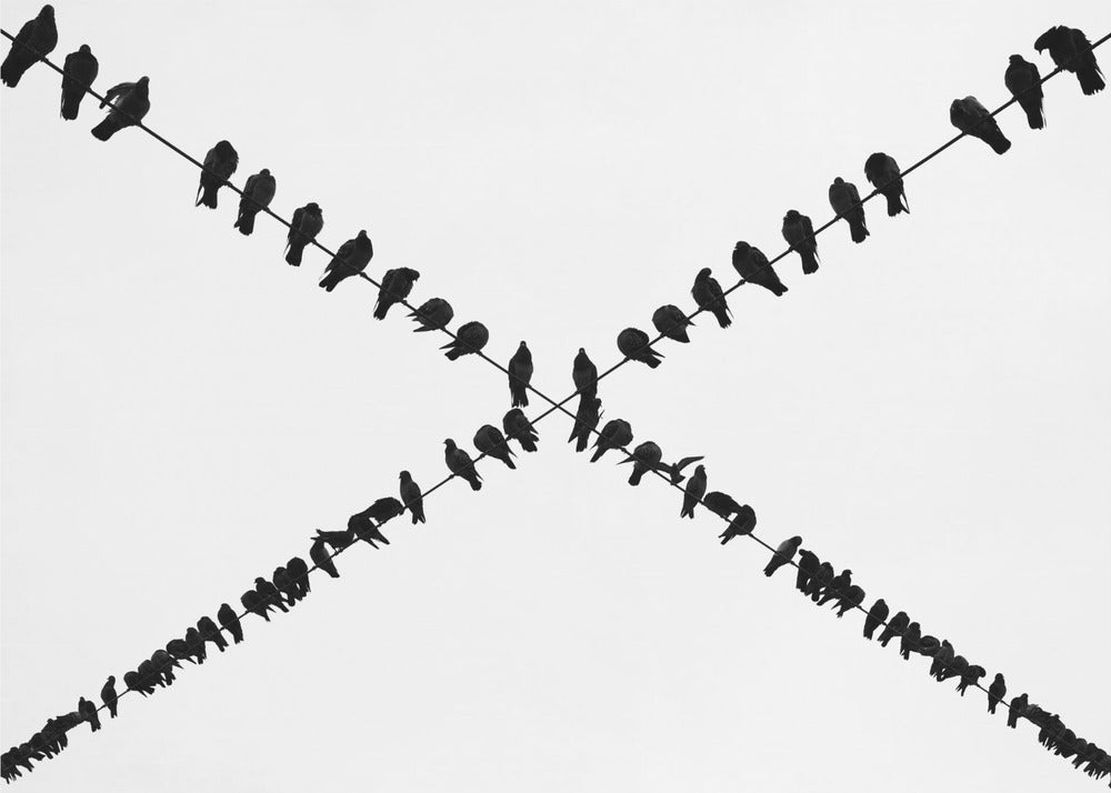 X | Achtergrond