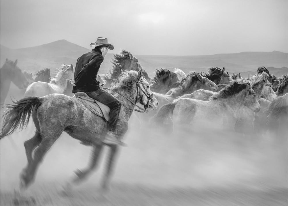 Yabani atlar (ook bekend als Yılkı Atları) | Behang