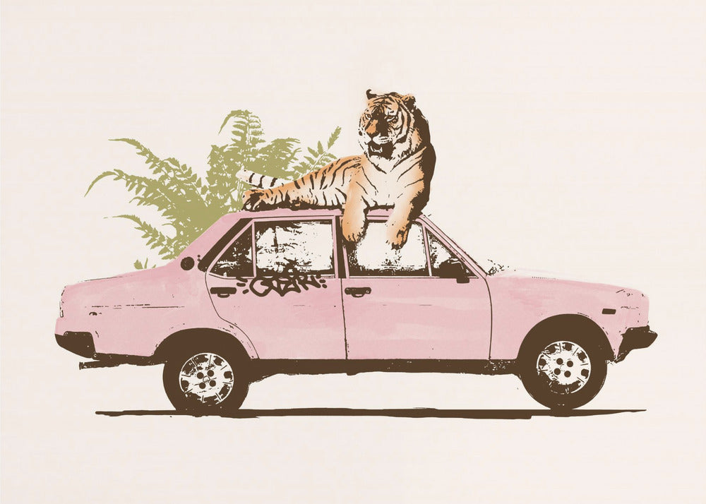 Tijger op auto | Poster