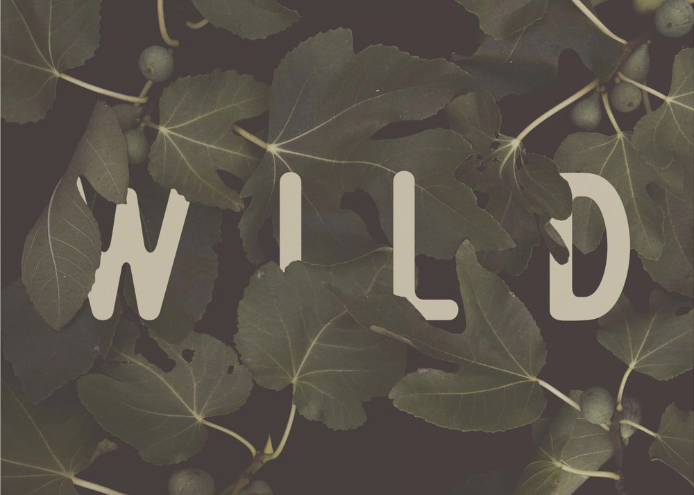 Wild nr. 2 | Poster