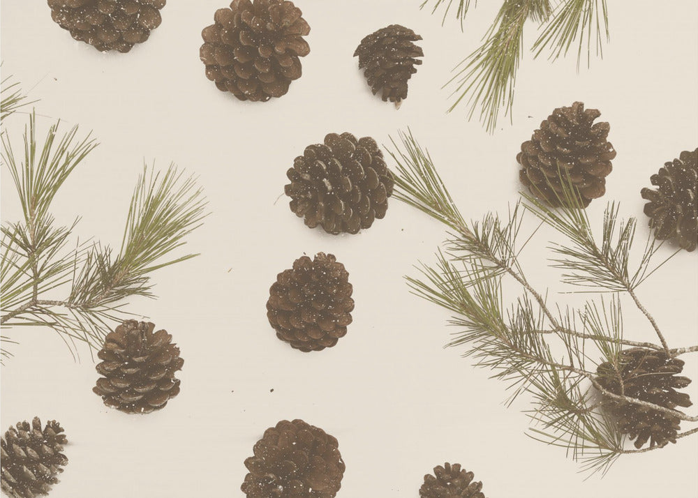 Vrolijk kerstfeest, mijn liefste | Canvas