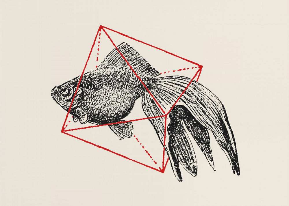 Vis in de geometrie nr. 3 | Canvas