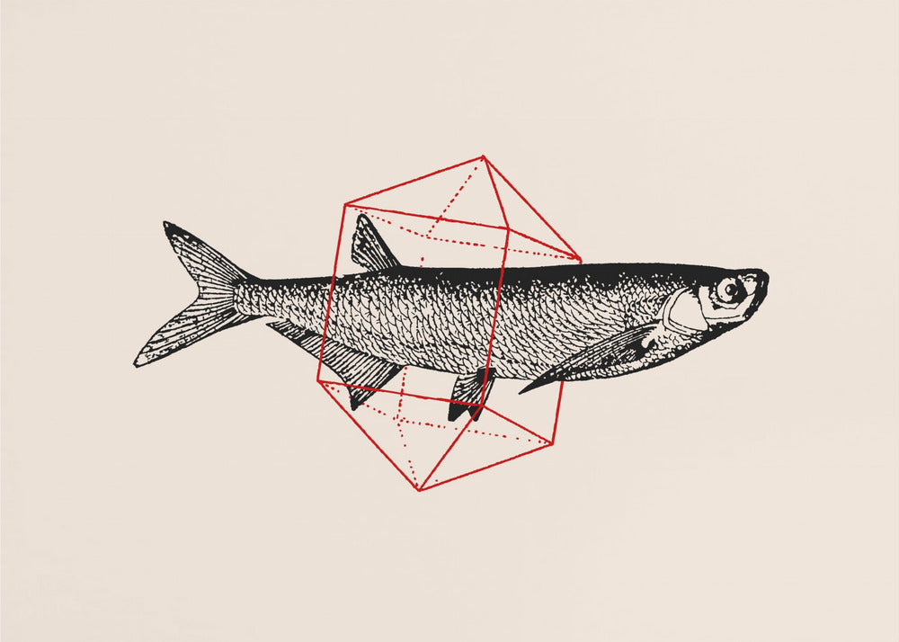 Vis in de geometrie nr. 2 | Canvas
