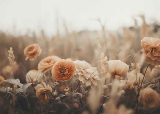 Bloemblaadjes in sepia | Poster