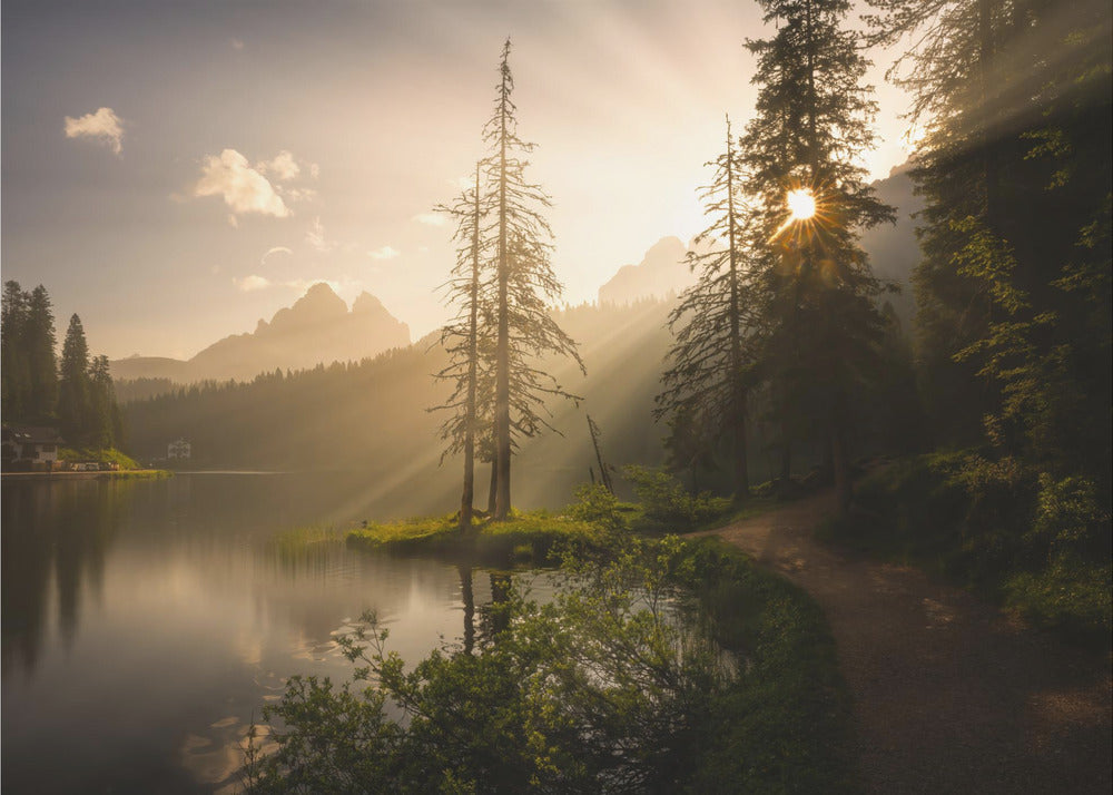 Ochtendlicht | Behang