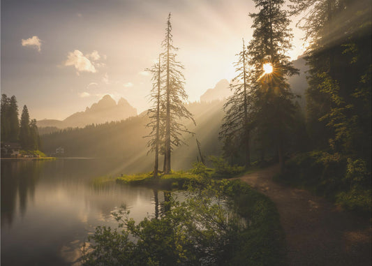 Ochtendlicht | Behang