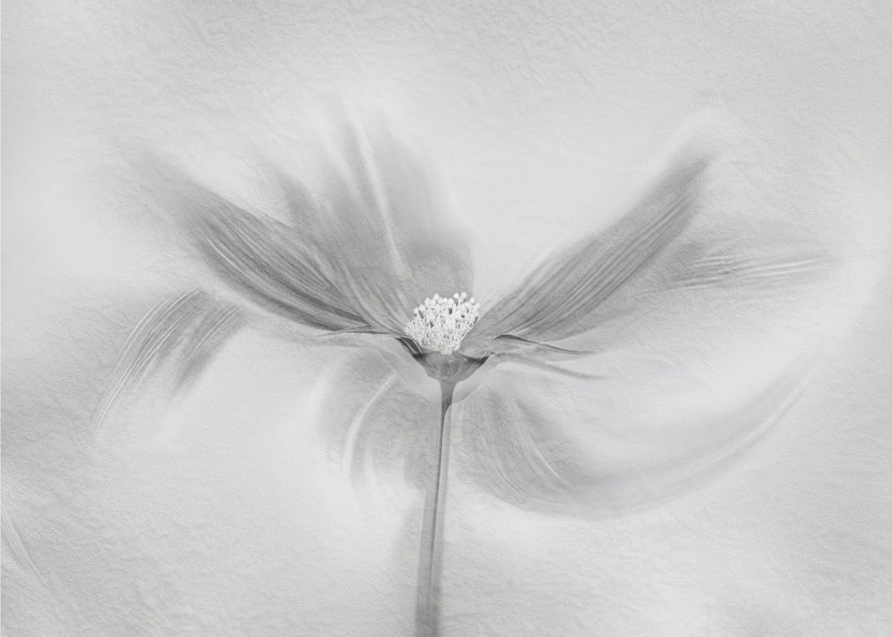 Dansende Kosmos | Canvas