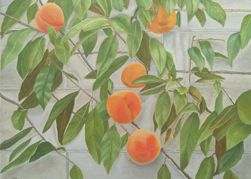 Perziken | Canvas
