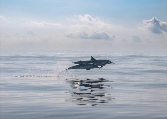 Stille tijd | Canvas