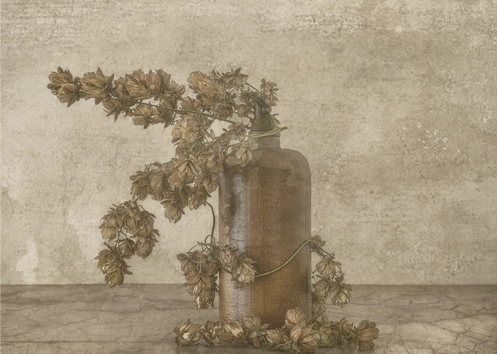 Common Hop 2 | Achtergrond