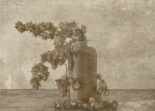 Gemeenschappelijke Hop 2 | Canvas