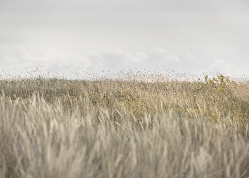 Duinen en wolken 2 | Achtergrond