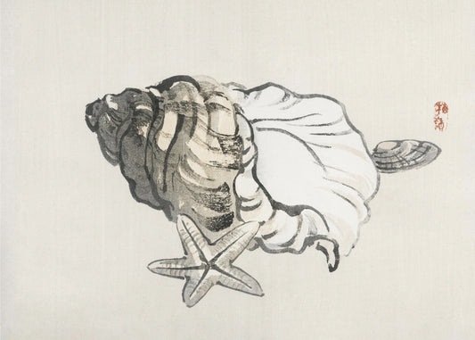 Star Fish and Conch | Canvas