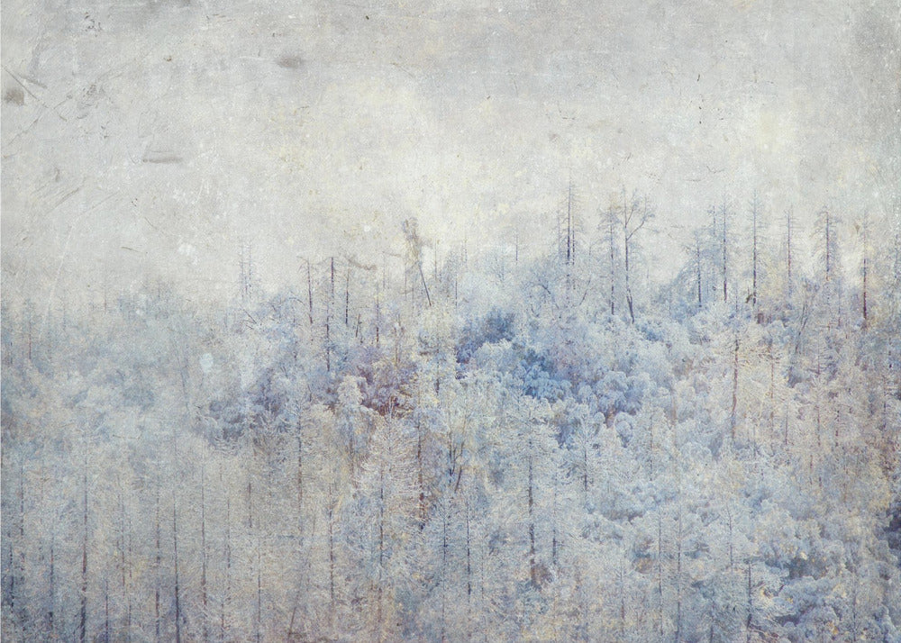 High Sierra III | Achtergrond