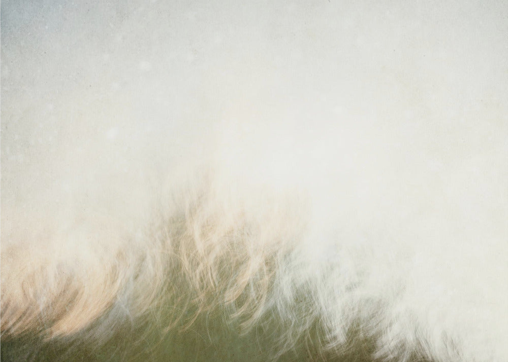 Moving landscape | Canvas