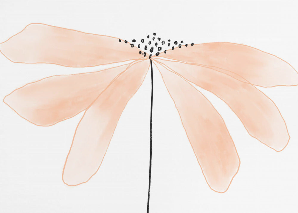 Delicate perzikkleurige bloem met bloemblaadjes | Behang