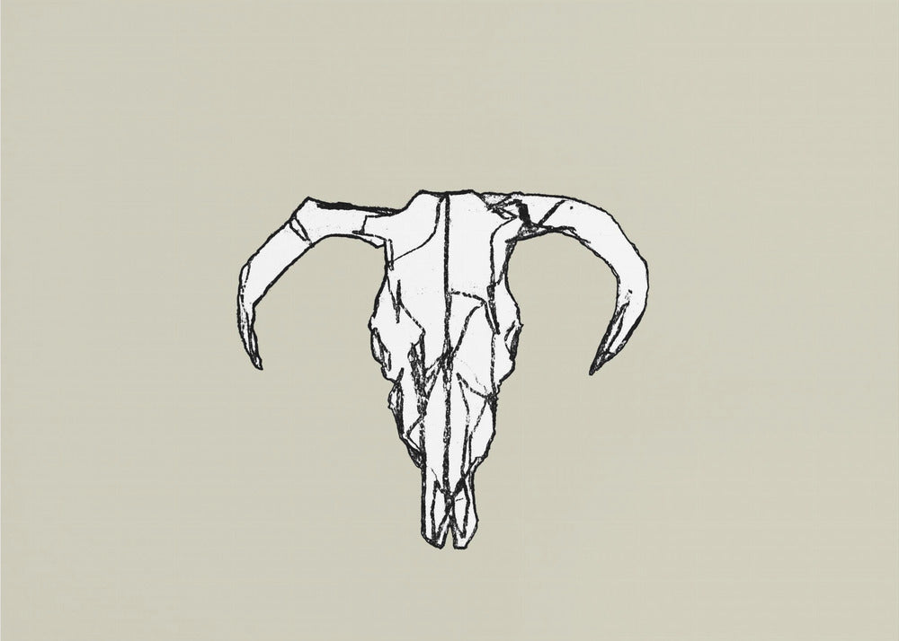 Dierenschedel nr. 2 | Canvas