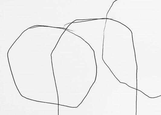 Zwarte lijnen op een witte achtergrond | Poster