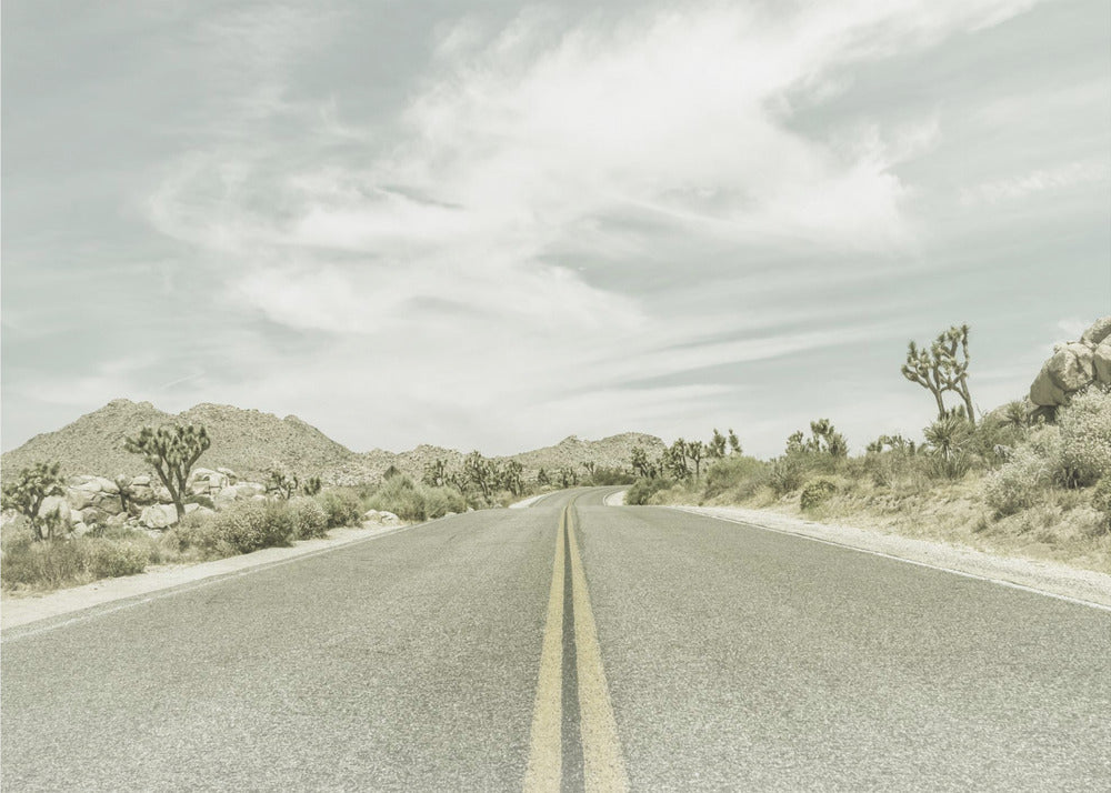 Vintage Joshua Trees, Park Boulevard | Canvas