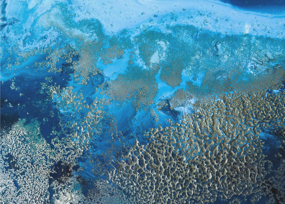 Coastal art - Revitalize | Canvas