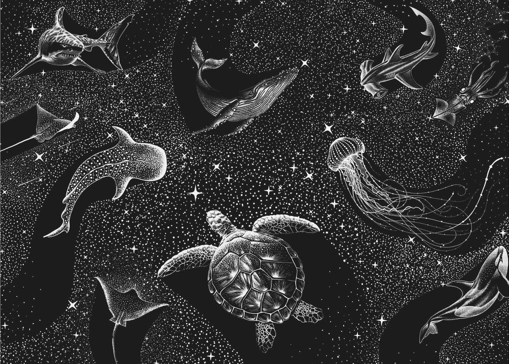 Kosmische Oceaan (zwarte versie) | Achtergrond