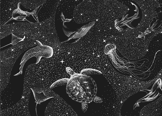 Kosmische Oceaan (zwarte versie) | Achtergrond