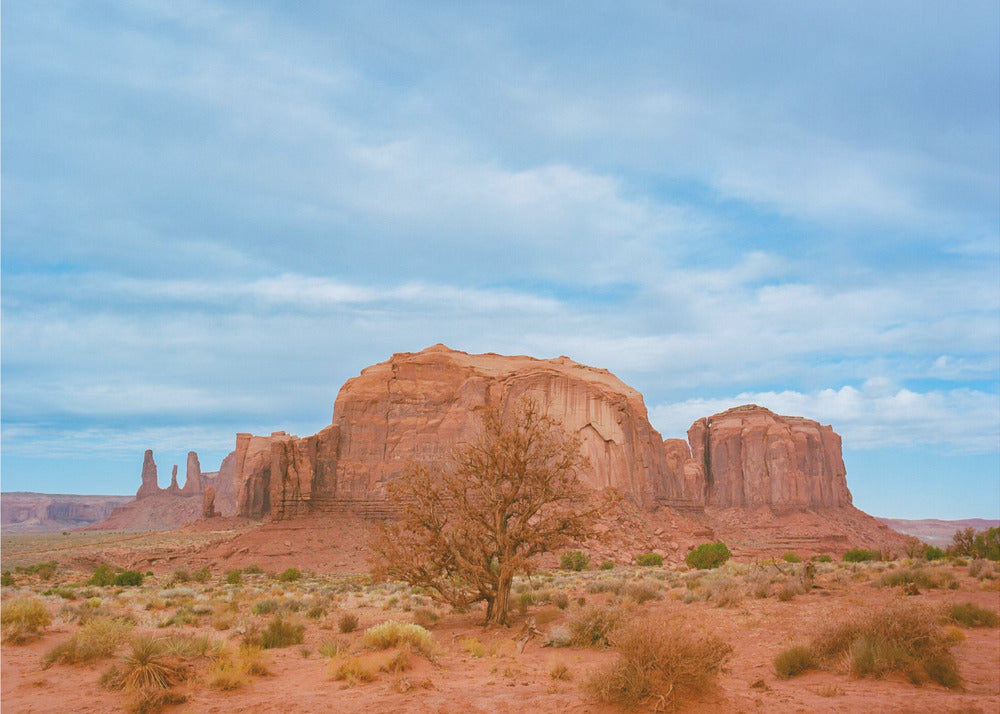 Monument Valley IX | Poster