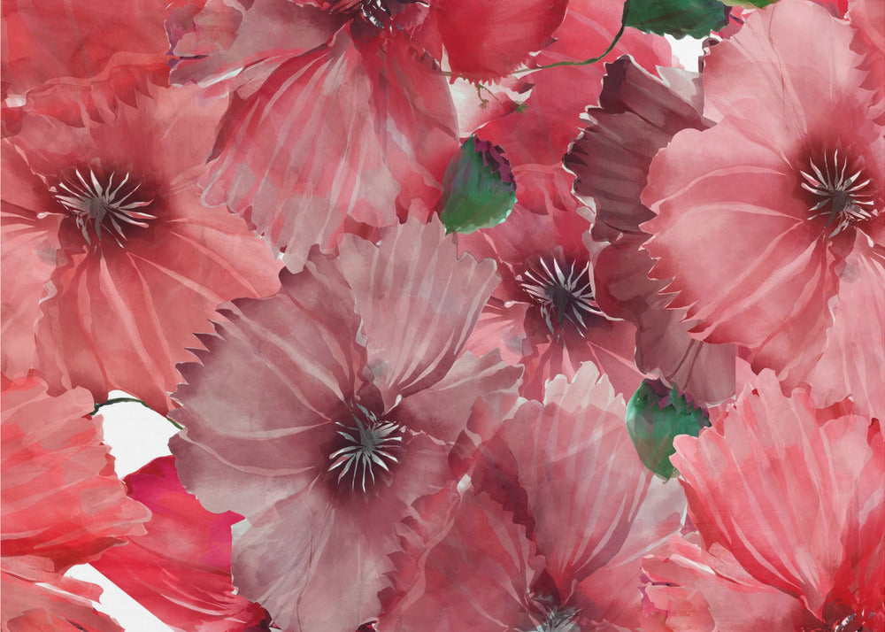 Grote rode bloemen 2 | Poster