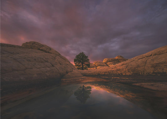 Ochtendlicht | Canvas