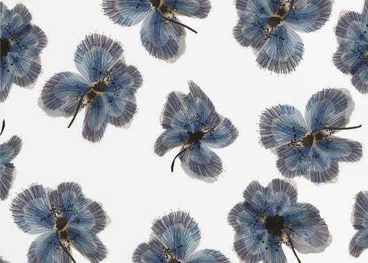 Marineblauwe bloemenmix | Poster