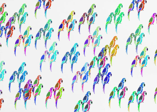 Parkietenmix | Poster