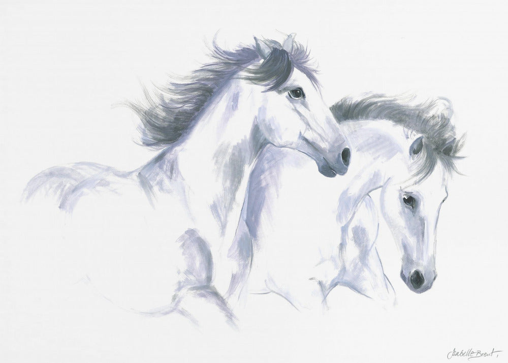 Twee paarden | Canvas