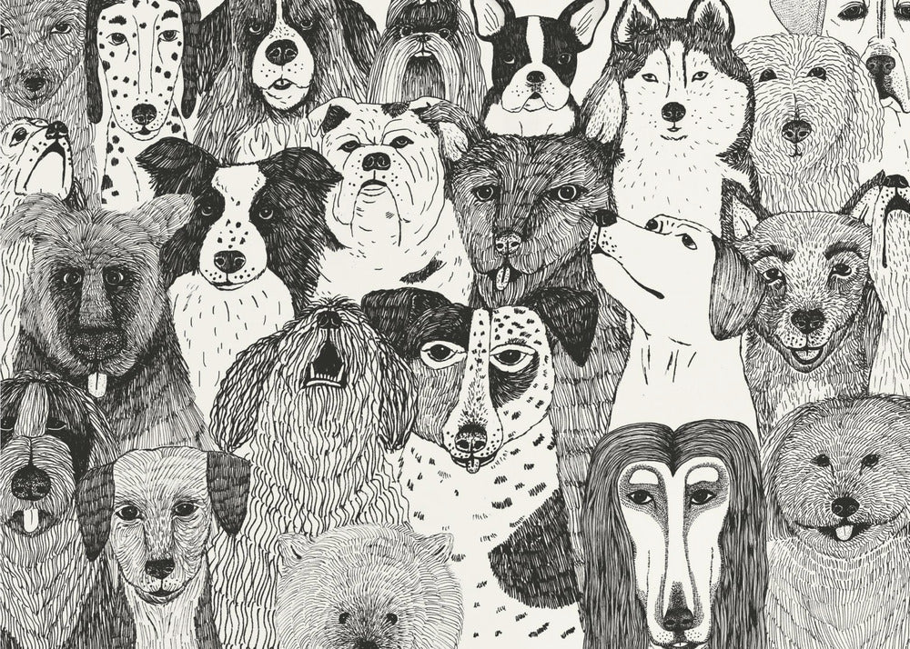 Honden | Canvas